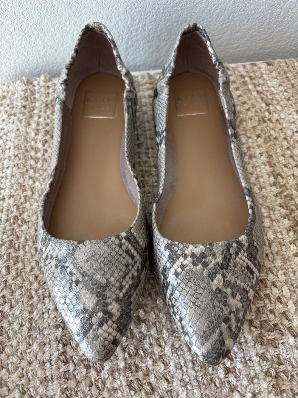 Kaari Blue Neutral Snake-Print Pointed Toe Ballet Flats